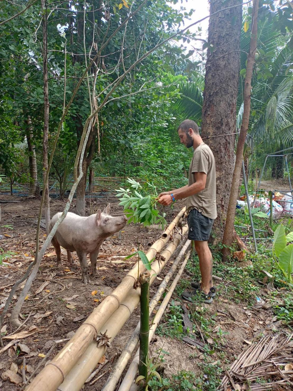 Green Garden Homestay Ban Khlong Wa Esterno foto